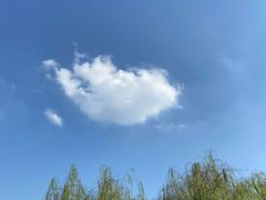 -西湖游船