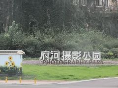 -府河摄影公园