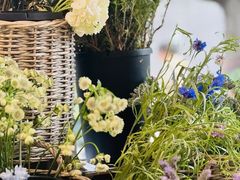 -CELINE(尚嘉中心店)