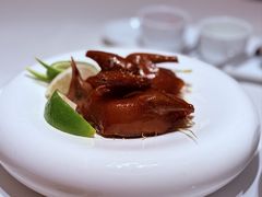 -觅唐MITONG(鸟巢店)