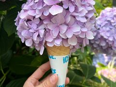 -常州古运河南大街文化旅游区-人民公园