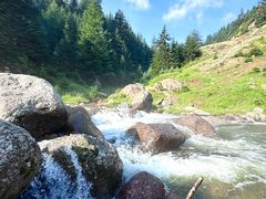 -芦芽山旅游度假区