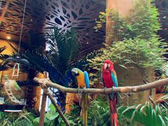 -杭州开元森泊度假乐园