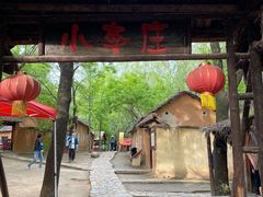 -微山湖红荷湿地景区