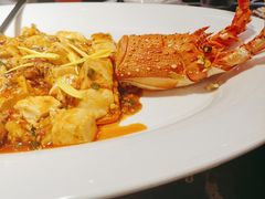 Gui的麻婆豆腐-桂花里·衢州菜·精酿餐吧(未来科技城万达广场店)