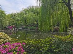 -墅园