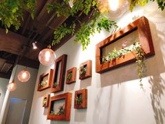 -仙踪林(江燕路万科里店)