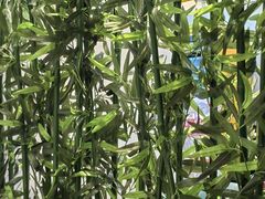 -彭城味道.地道徐州味(怡海花园店)