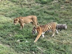 -济南野生动物世界