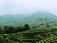 -帐篷客·溪龙茶谷度假酒店