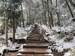 -青城山