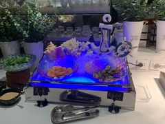 -大渔铁板烧(花园道店)