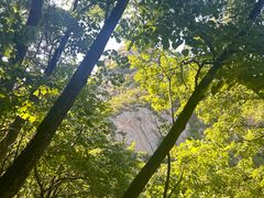 -大岭沟猕猴桃谷风景区
