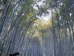 -宝石山