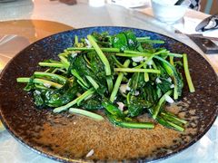 板蓝根-松茸小馆·云南特色餐厅