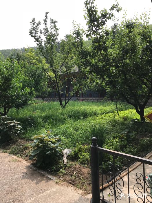 冯家大院-图片-怀柔区美食-大众点评网