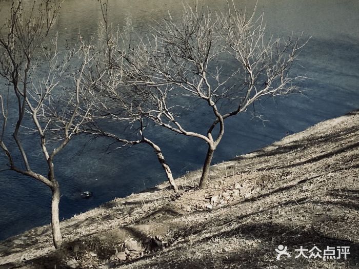 坝河休闲公园图片