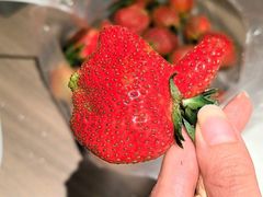 -五里多农博广场