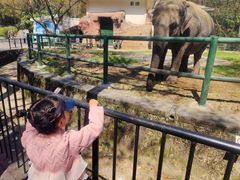 -温州动物园-北门售票处