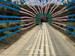 -苏州太湖西山岛开心农场