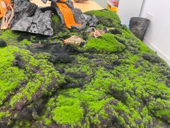 -斯坦星球AI编程·机器人科创·科学实验·信奥·思维·STEM·乐高·竞赛考级(长宁虹桥大融城荟聚中心)