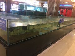-都市阳光海鲜城(青山湖店)