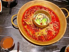 -杨家火锅(国美店)