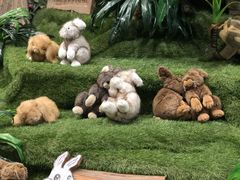 -济州岛泰迪熊博物馆