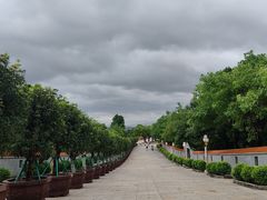-广州莲花山旅游区