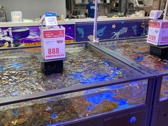 -盒马鲜生(大成店)
