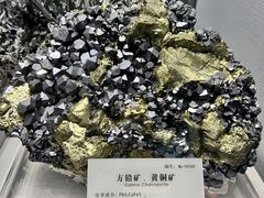 -湖南省地质博物馆