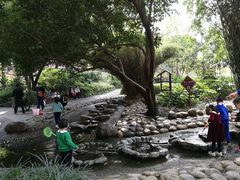 -成都市活水公园