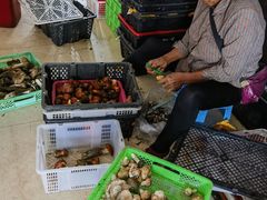 -山菌美食苑(振兴路店)