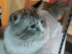 -白兔子密室(长寿路店)