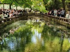 -西园戒幢律寺