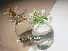 -茶是一枝花泡茶店