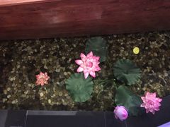 -碧露轩·大益茶体验馆(镇江路店)