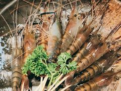 -一哥澳门豆捞·澳门风打边炉(高德置地店)