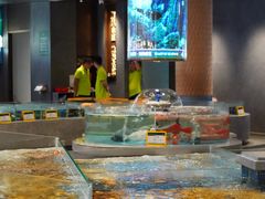 -顺风山庄(水濂山店)