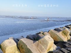 -南汇新城海滩
