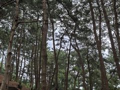 -杭州半山国家森林公园