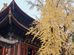 -宝通禅寺