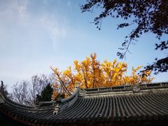 -穹窿山景区