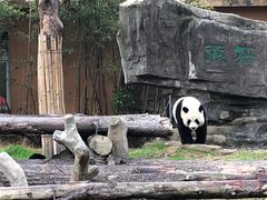 -宁波野生动物园