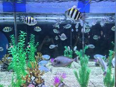 -烟台海昌鲸鲨海洋公园