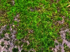 -西南交通大学(峨眉校区)