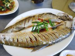 清蒸白丝鱼-乡乐园蟹庄·阳澄湖农家乐