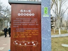-雁滩公园