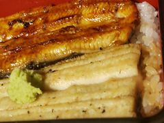 -料亭菊水楼