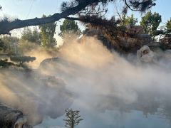 -静之湖湖畔餐厅